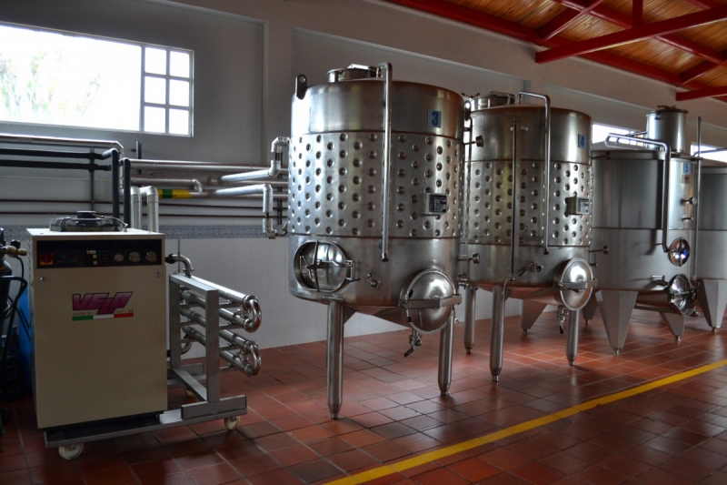 cave-TOURRETTE LEVENS-min_wine_production_cantine_winery_drink_alcohol_vine_beverage-902036